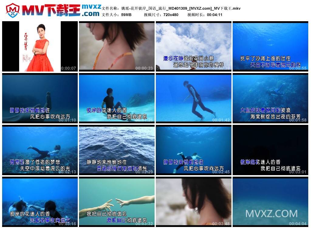 姚瑶-花开彼岸_国语_流行_MD401309